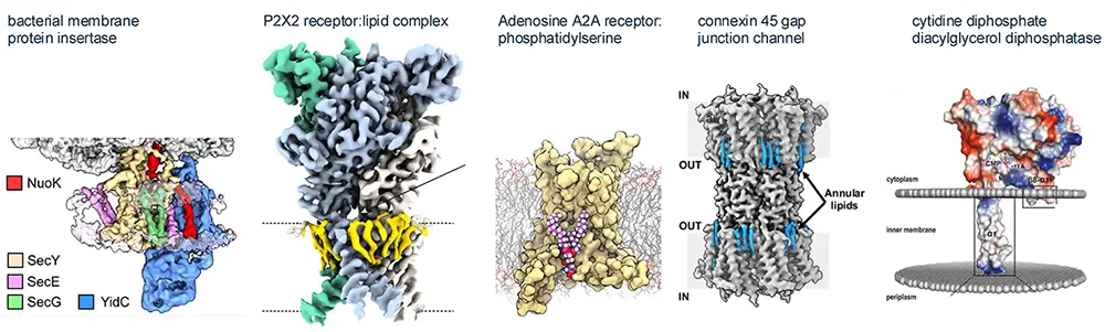 SMALP Membrane Protein Conference